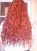 Egyed�l�ll� Afrofon�s az �si Afrik�b�l